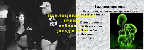 молекула духа Алексеевка