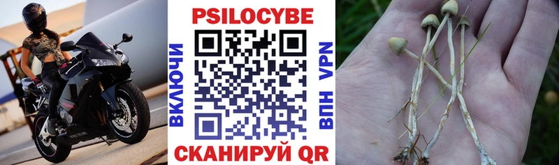ссылка на мегу маркетплейс  Суджа  Галлюциногенные грибы Magic Shrooms 