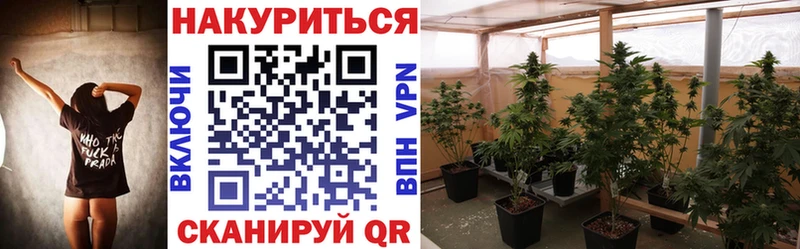 закладки  Суджа  omg вход  Шишки марихуана Amnesia 